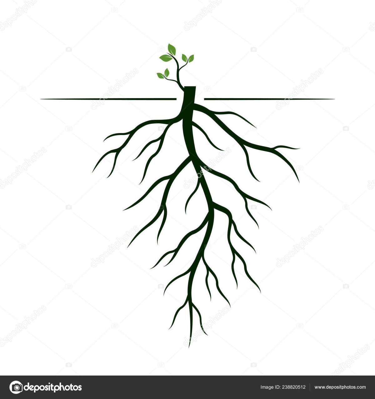 Растение с корнем вектор