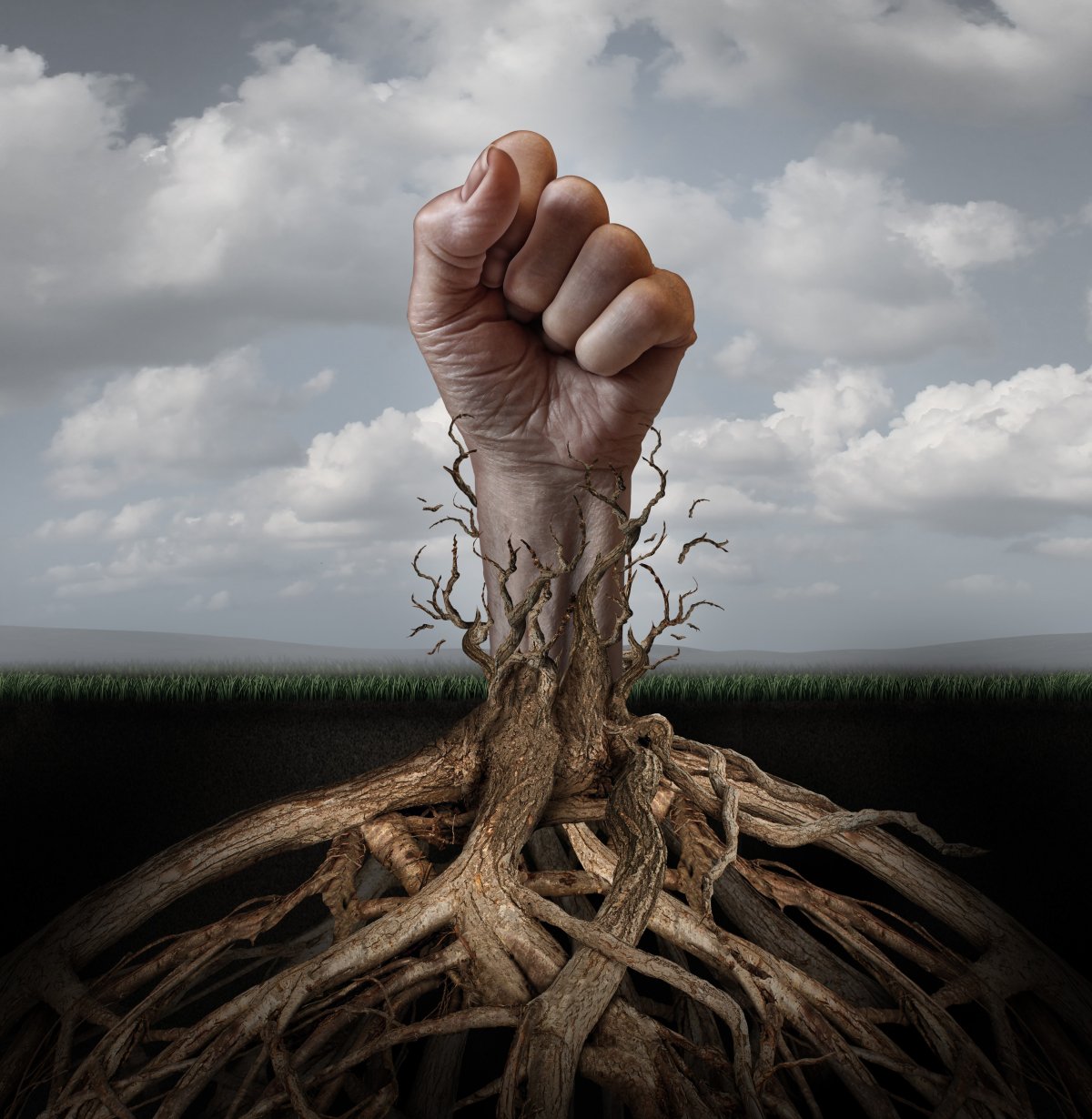 Пустить корни