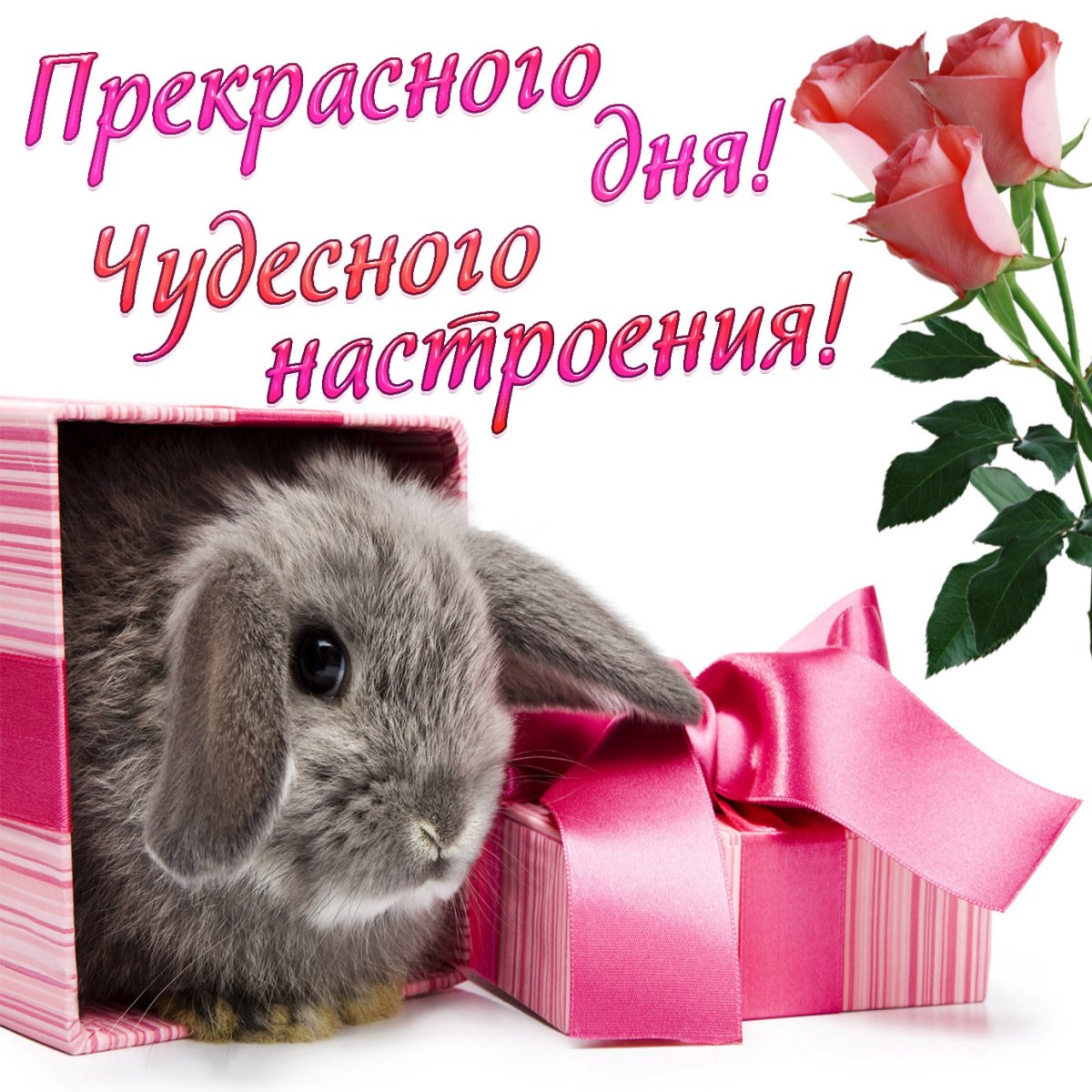 Зайчик с мамой