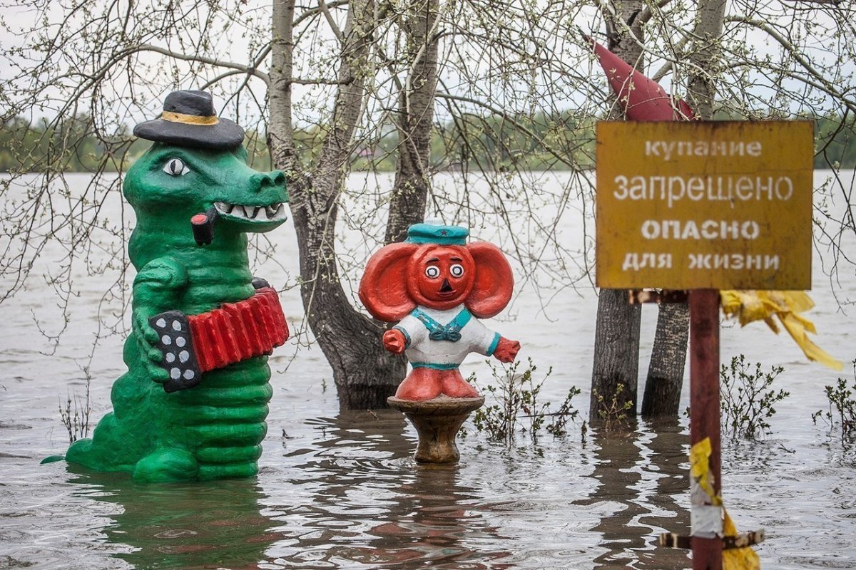 Приколы про водку