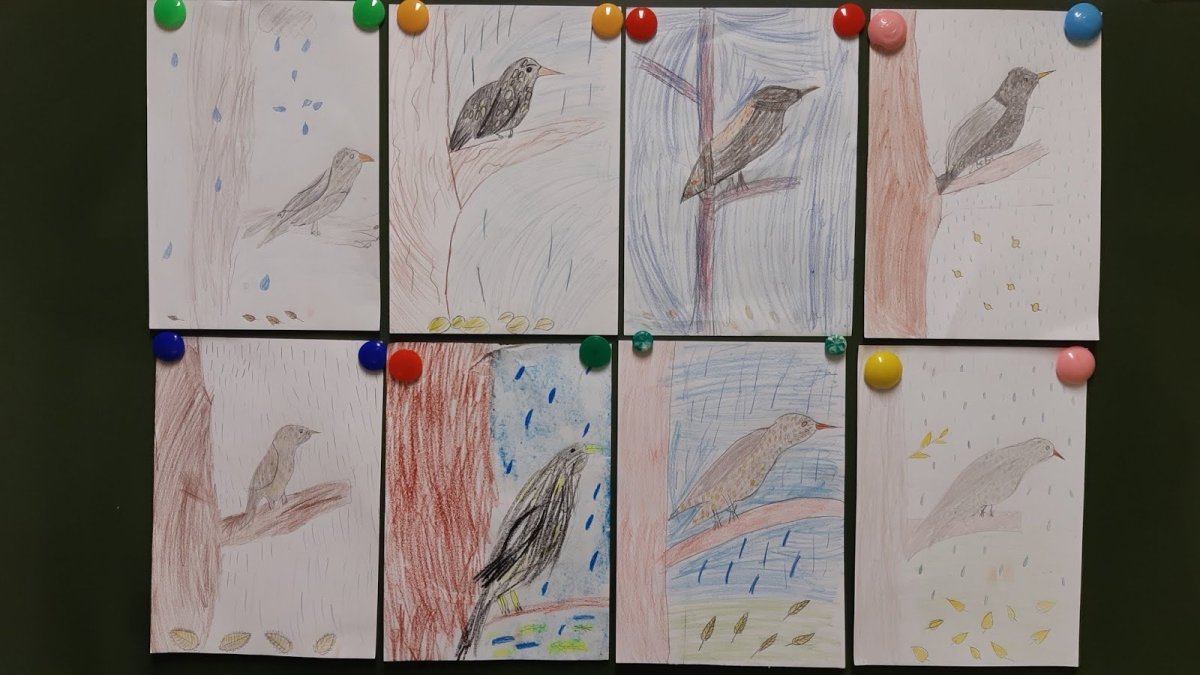 Скворушки скворцы