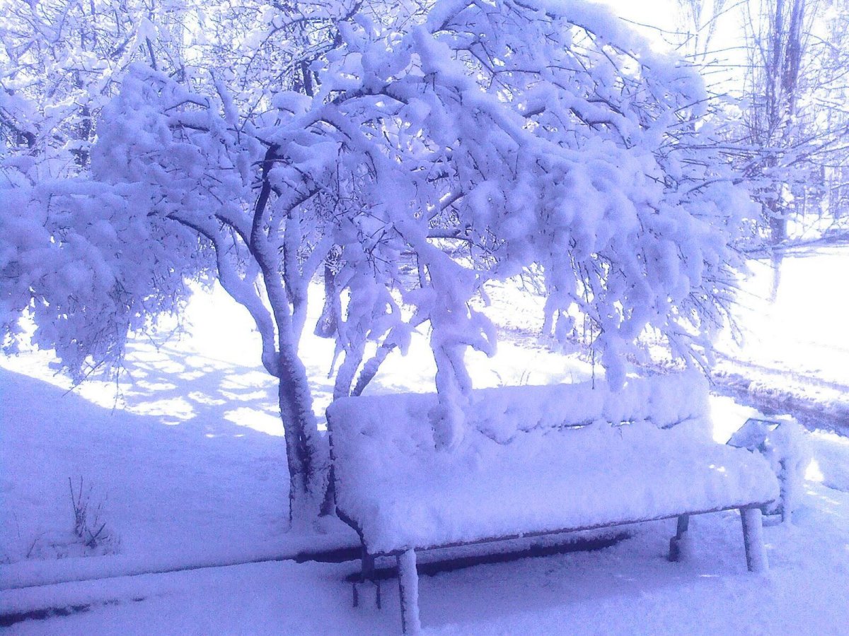 Падающий снег