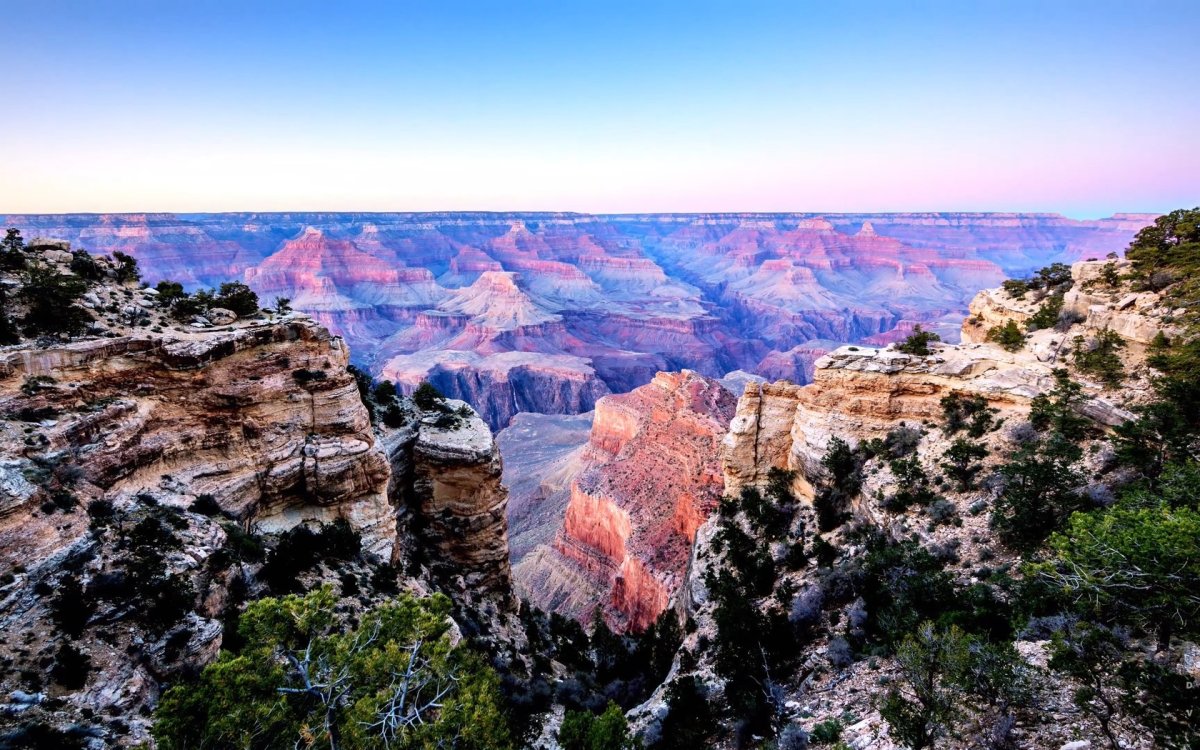 Надпись рекламы каньон на дереве