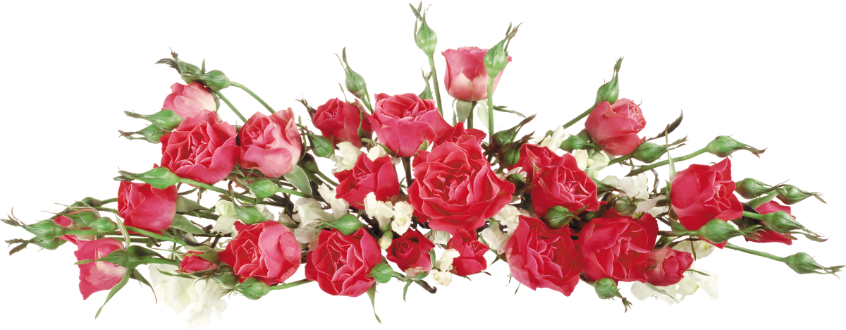 Цветы горизонтальные