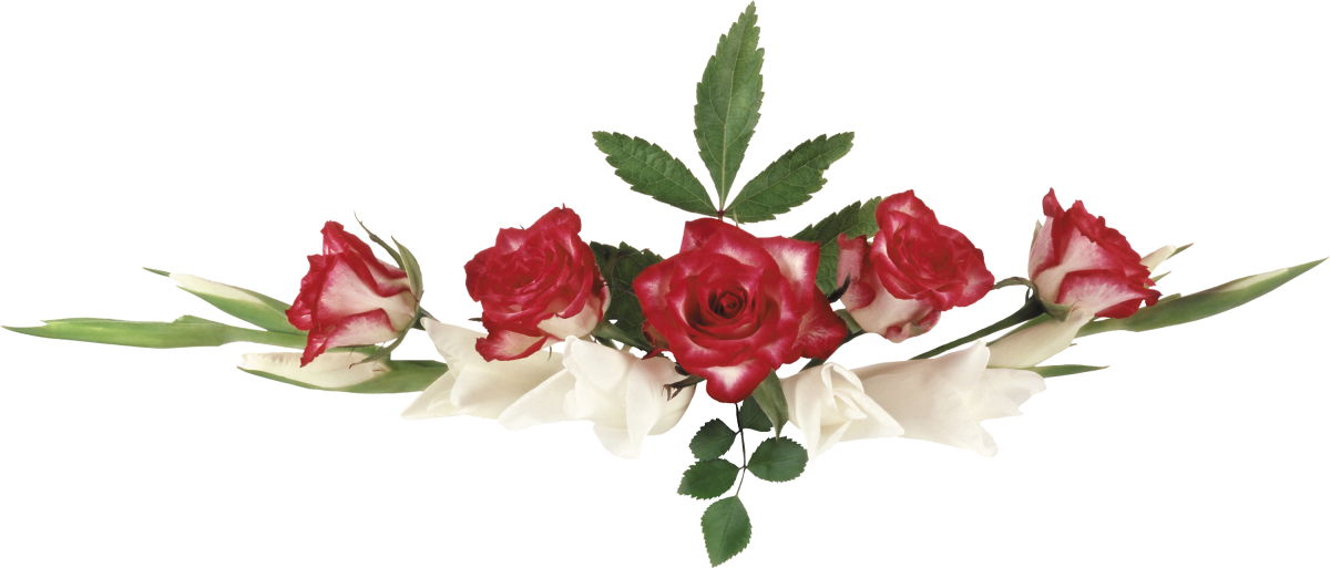 Разделитель с цветами