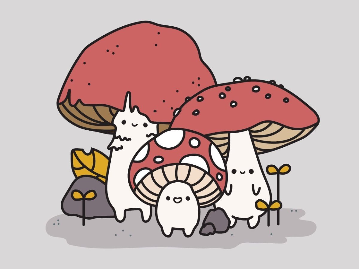 Mushroom инди КИД