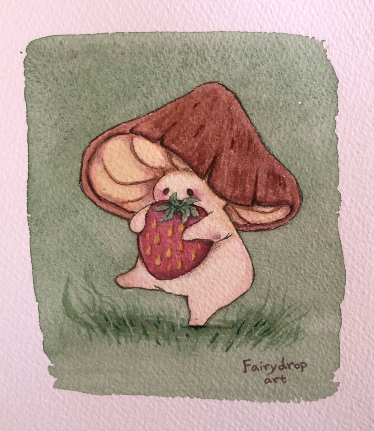 Fairydropart грибы