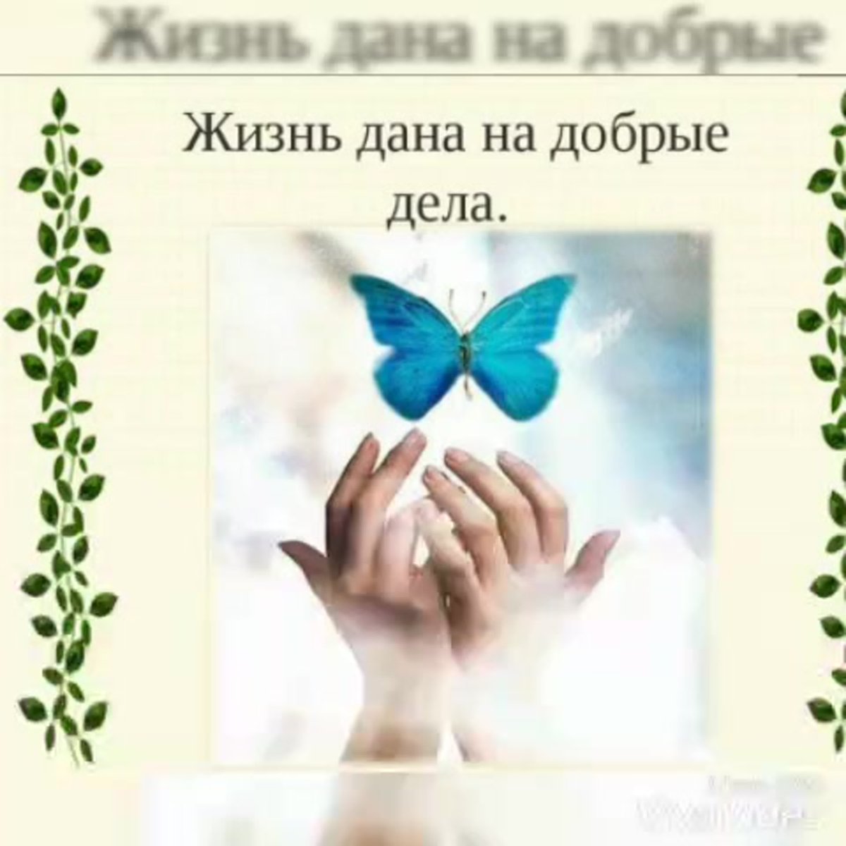 Добрые дела