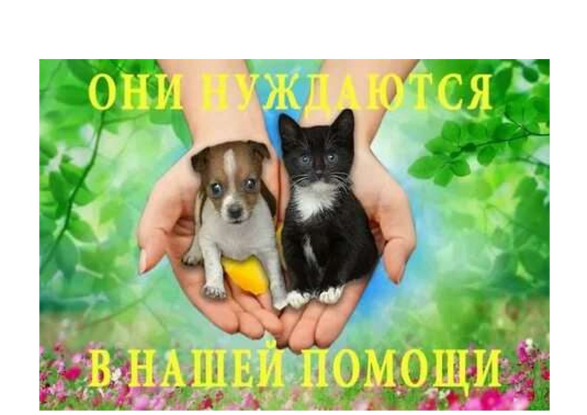 Весна для детей дошкольного возраста