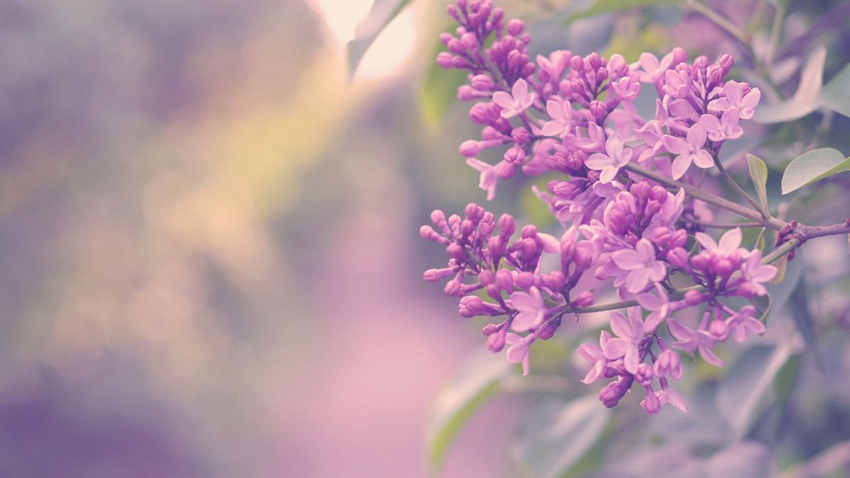 Поздравления с днём рождения Ирине