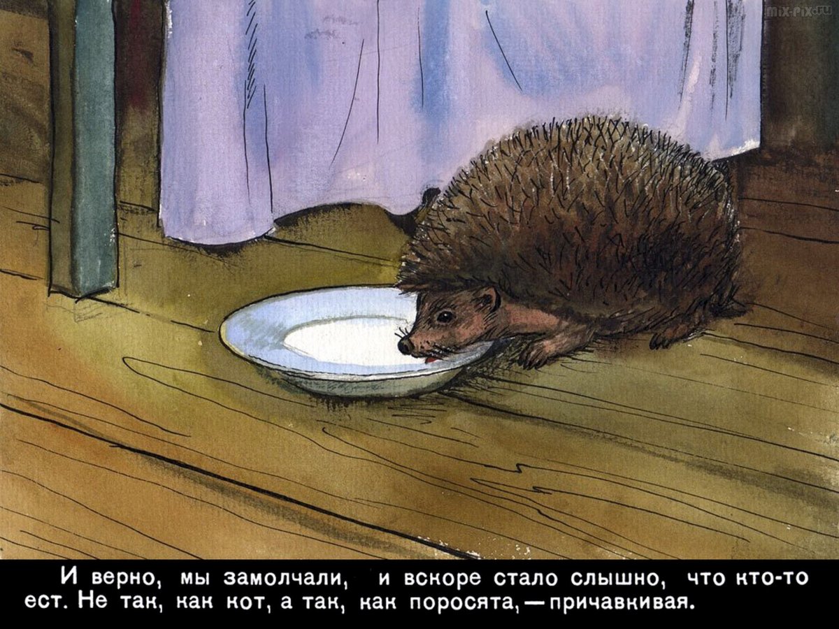 От радости мы затопили печь