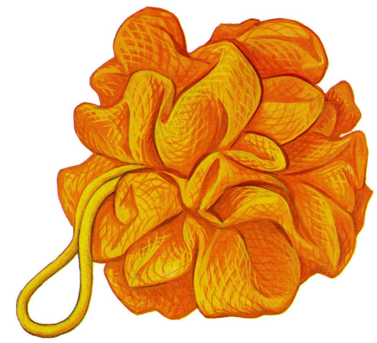 Мочалка клипарт