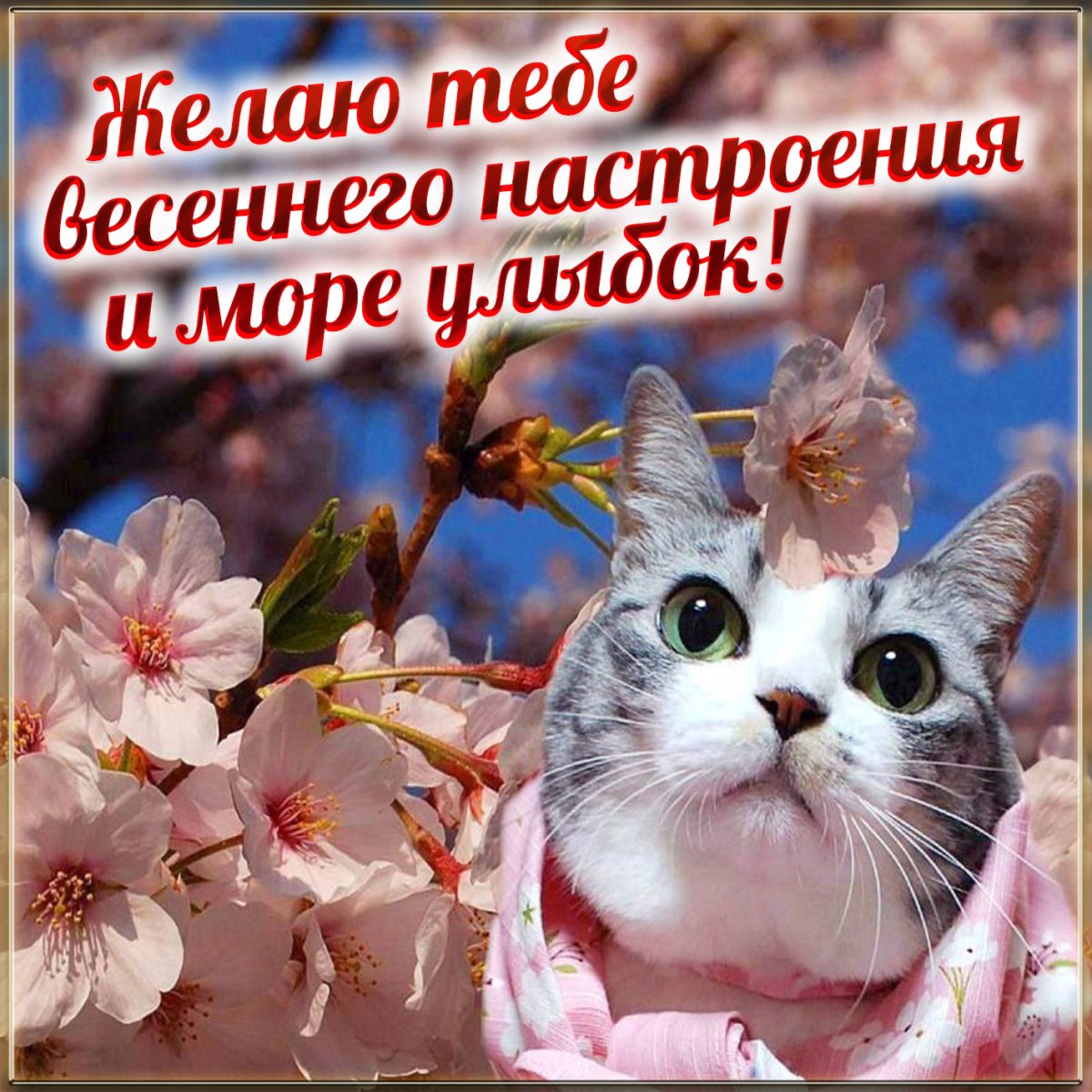 Удачного весеннего дня