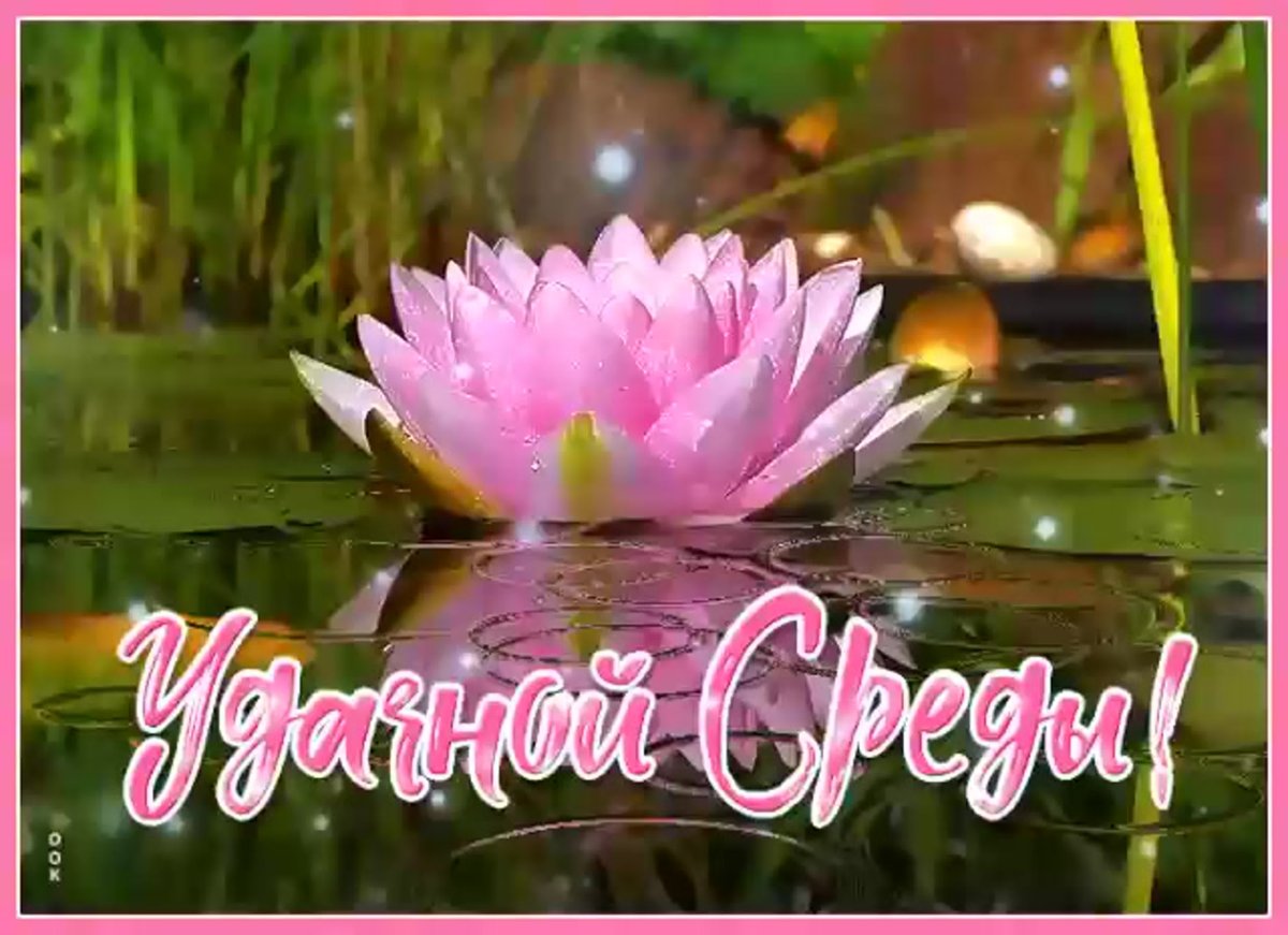 Доброе Весеннее утро