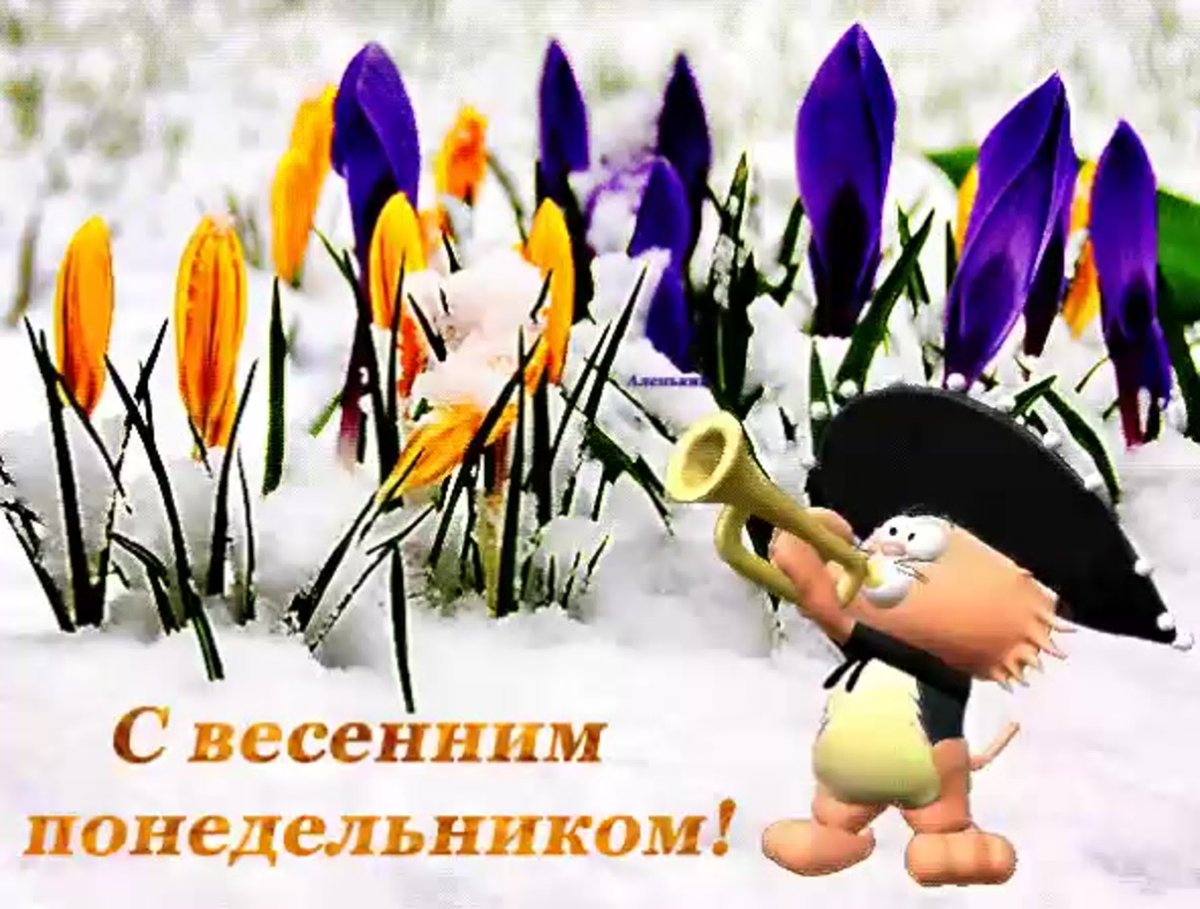 Доброе утро с птицами