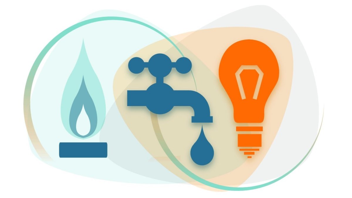 Экология иллюстрация