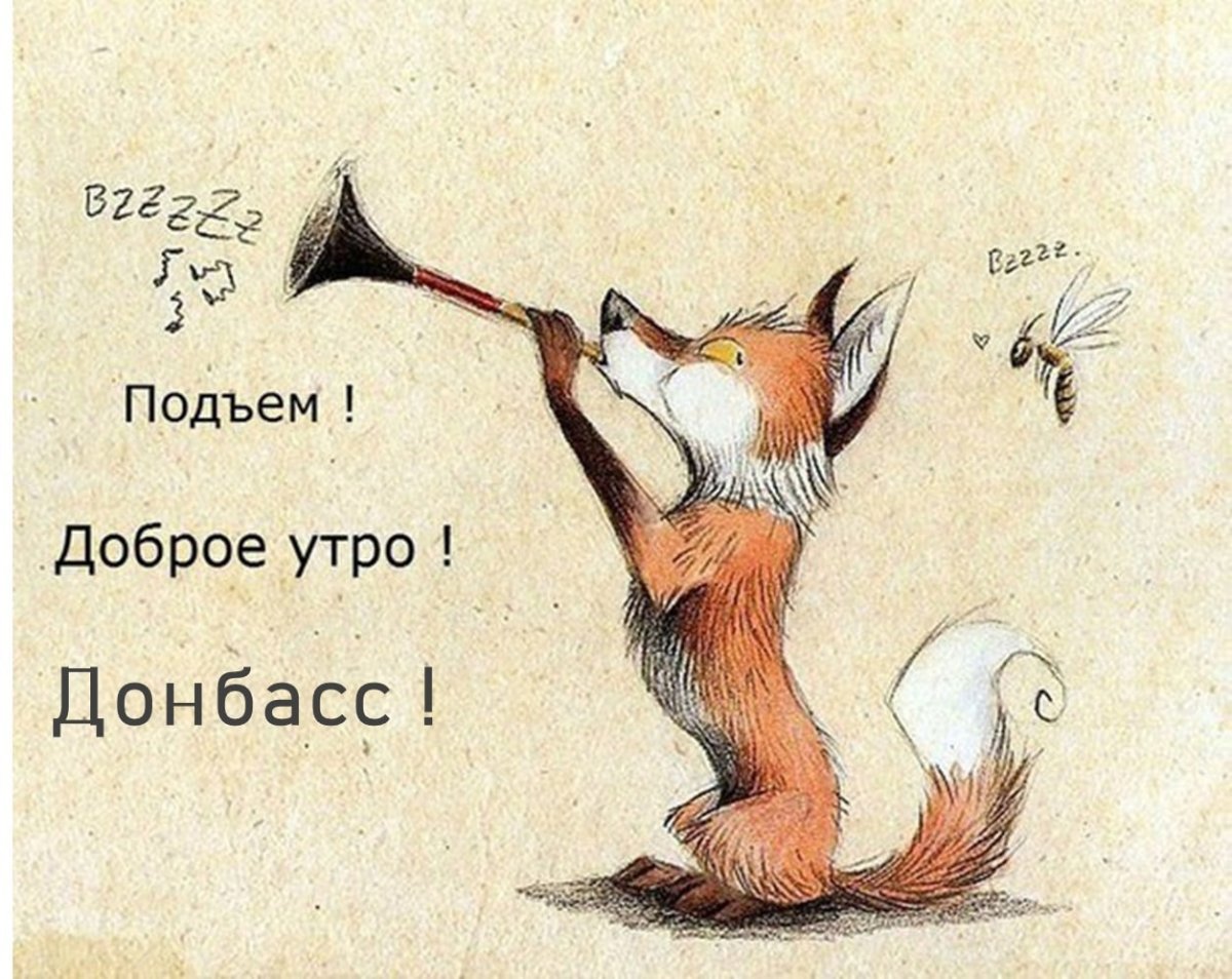 Доброе утро лиса