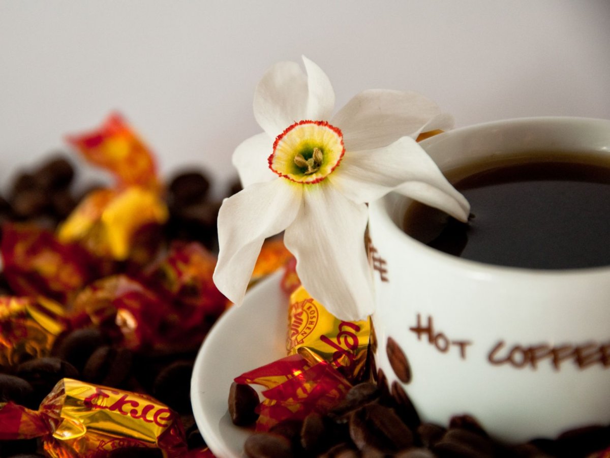 Кофе счастье