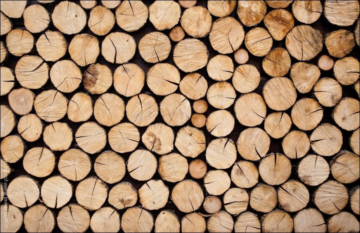 Красивый срез дерева