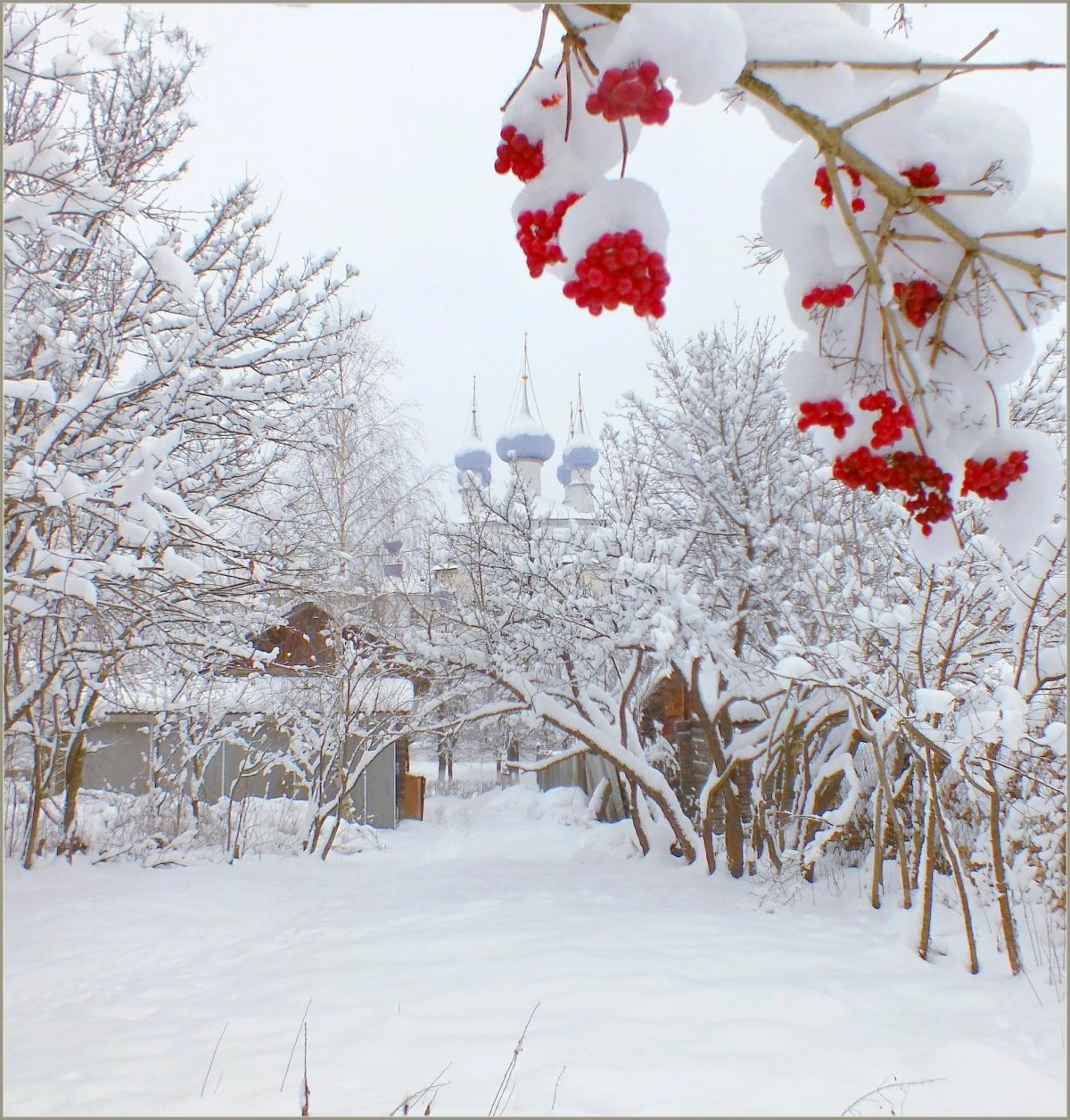 Пейзажи с рябиной зимой