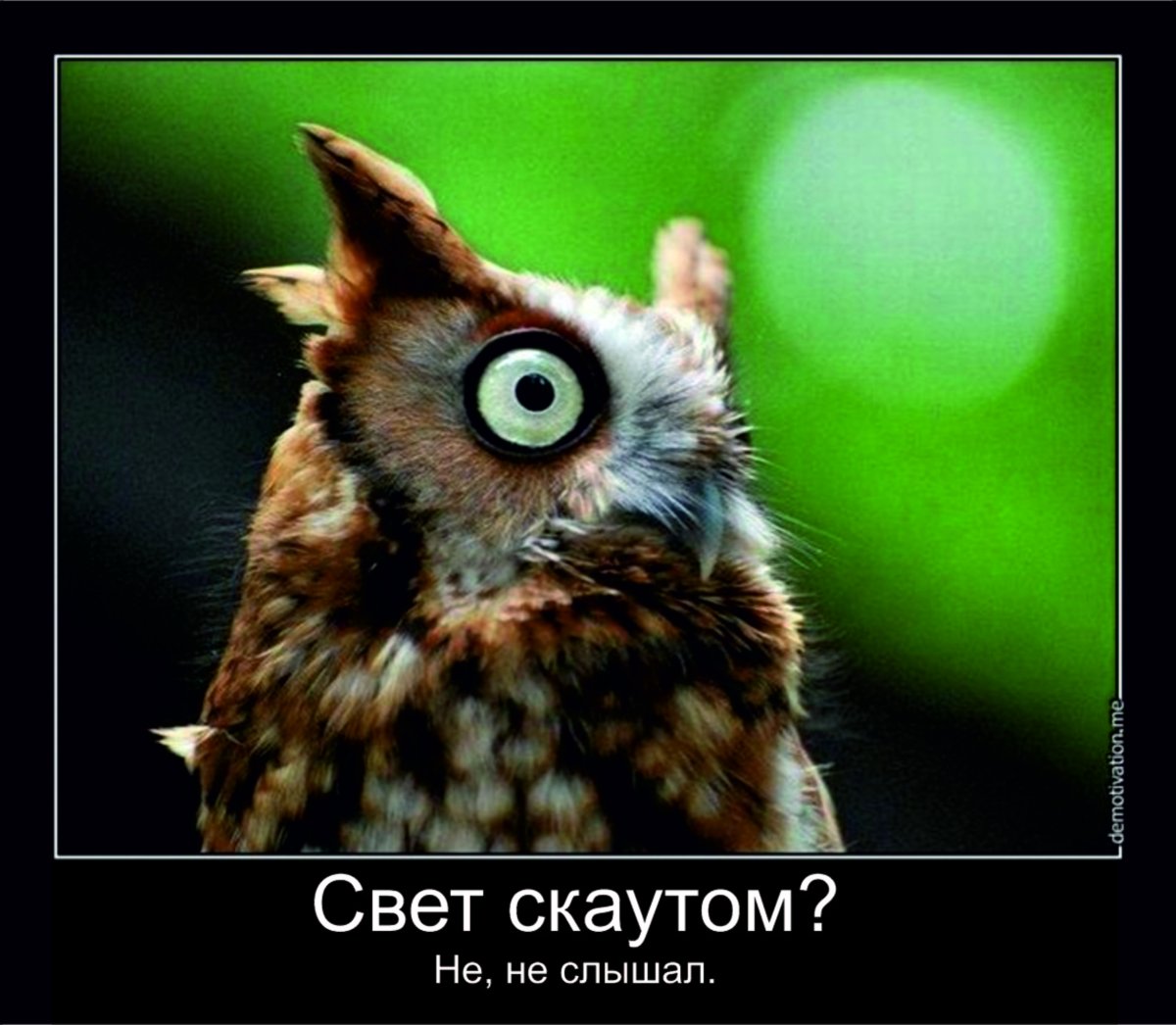 Афоризмы про счастье