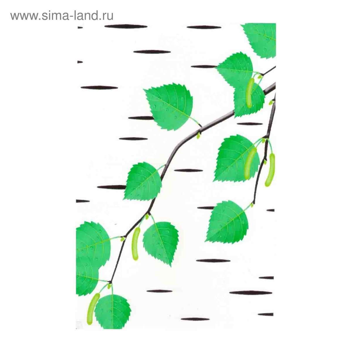 Панели ПВХ береза