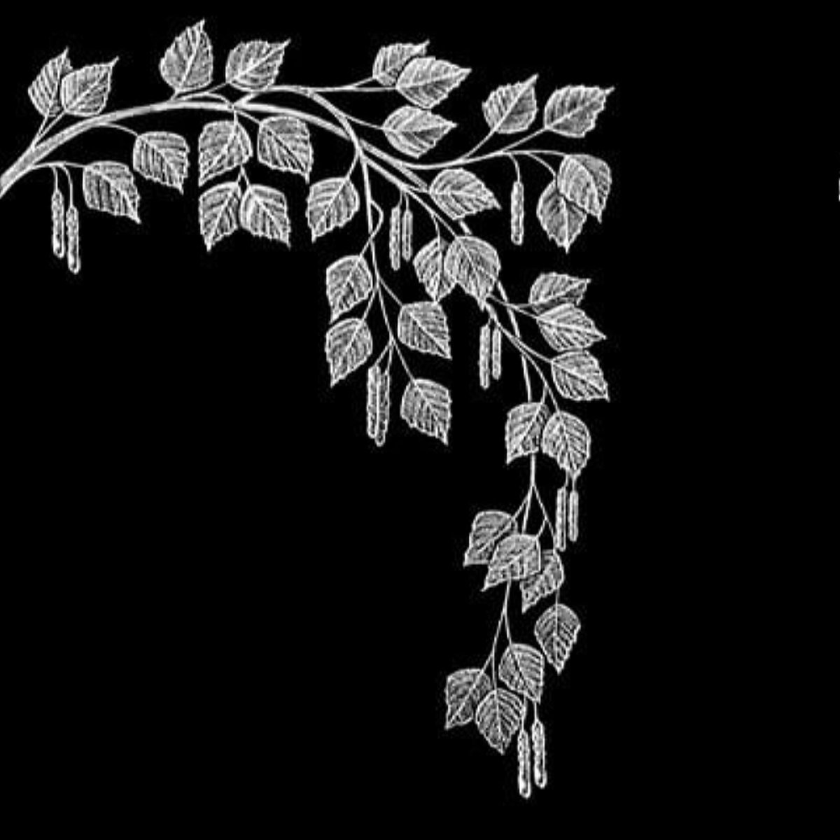 Веточка березы на памятник