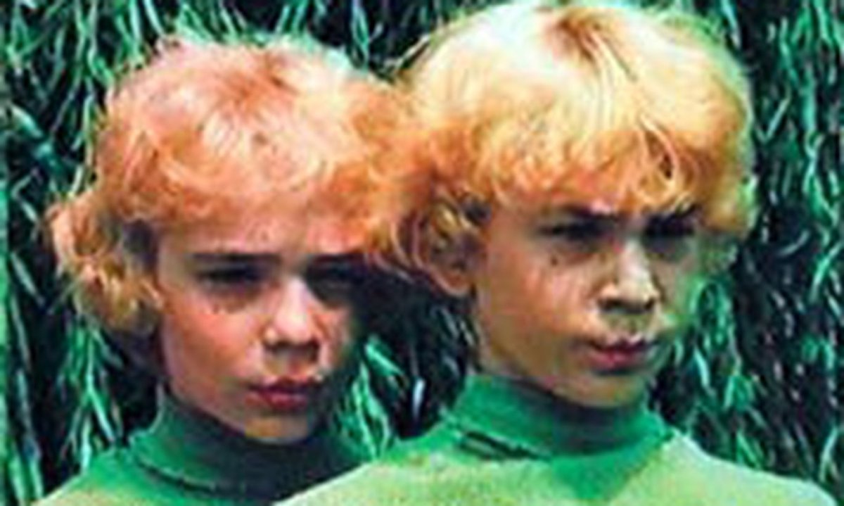 Сыроежкин и электроник