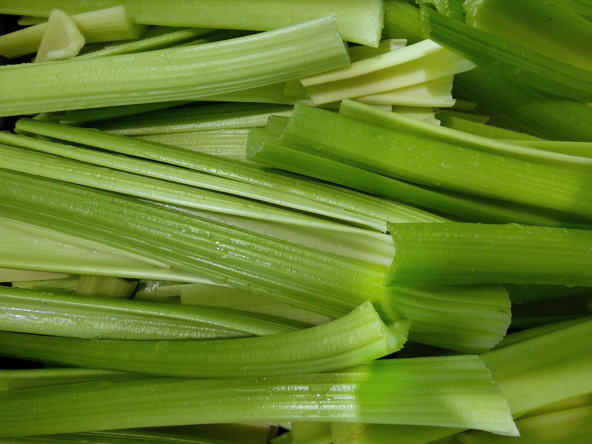 Стеблевой сельдерей зеленый