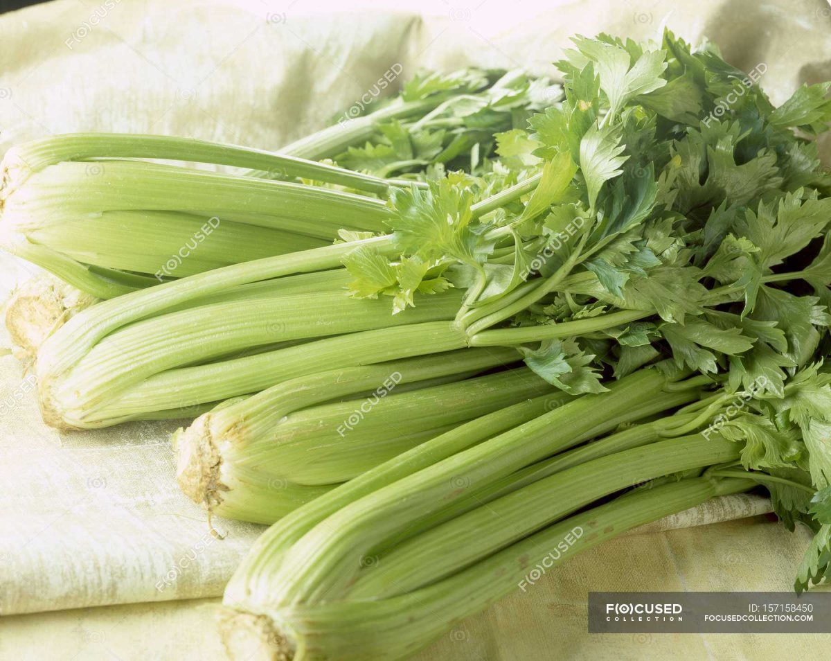 Сельдерей черешковый малахит