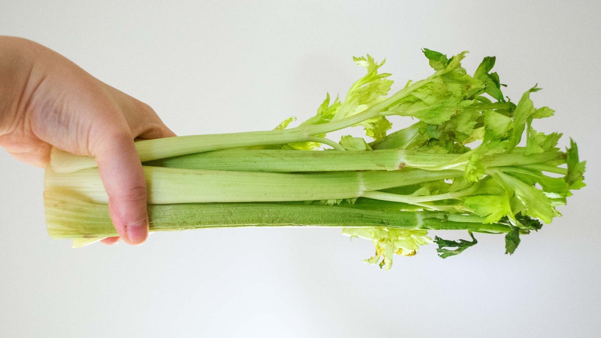 Сельдерей черешковый Королевский