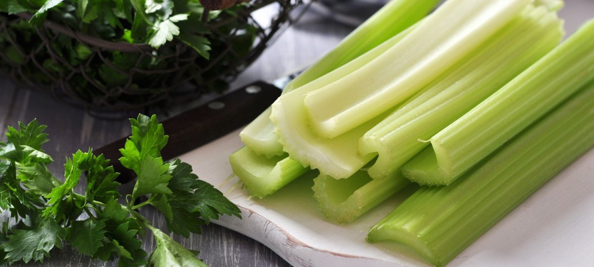 Сельдерей celery