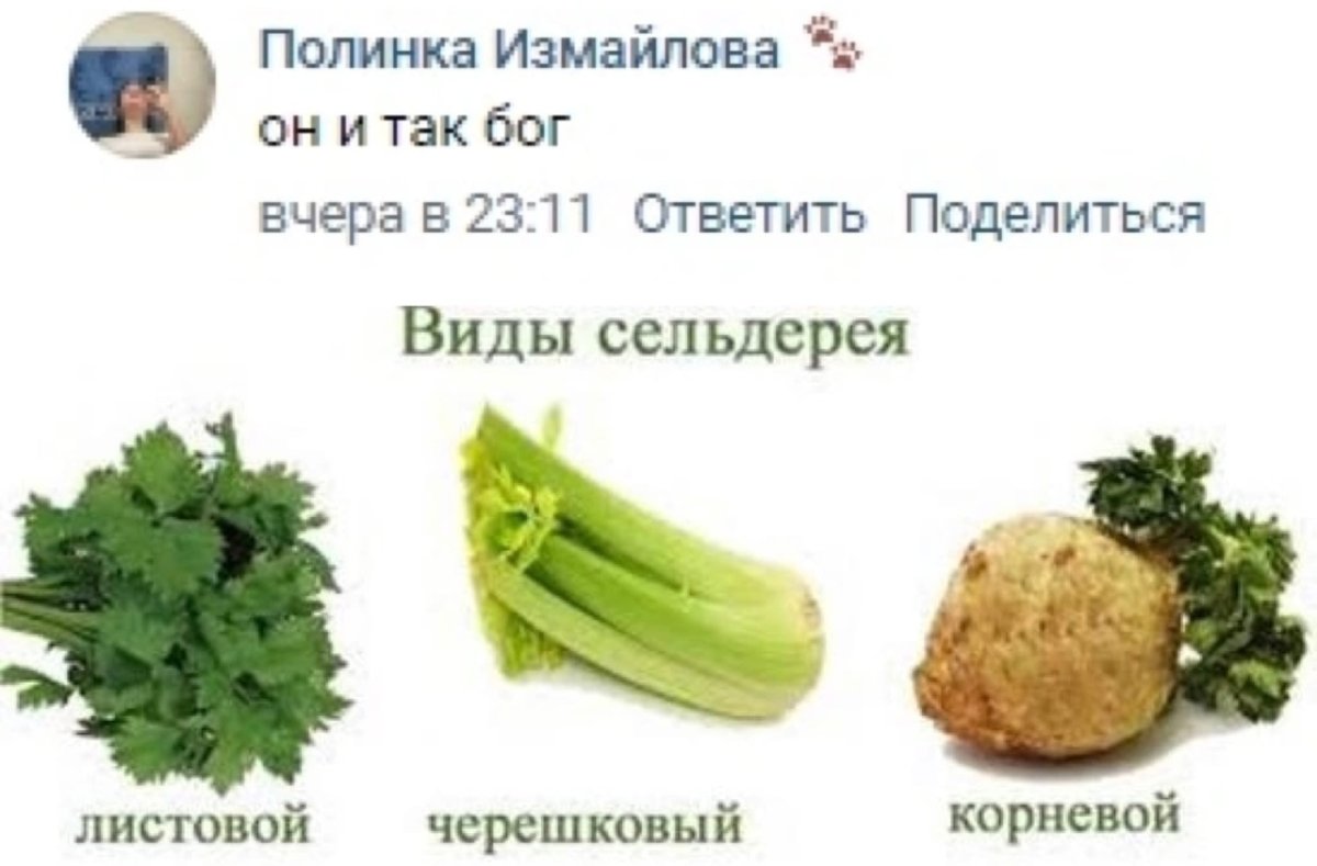 Сельдерей стебель калораж