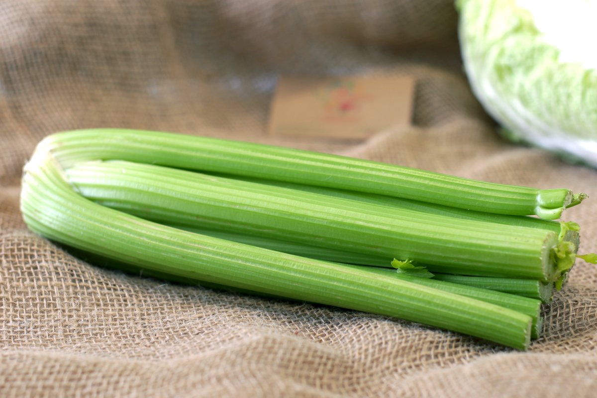 Сельдерей черешковый Юта