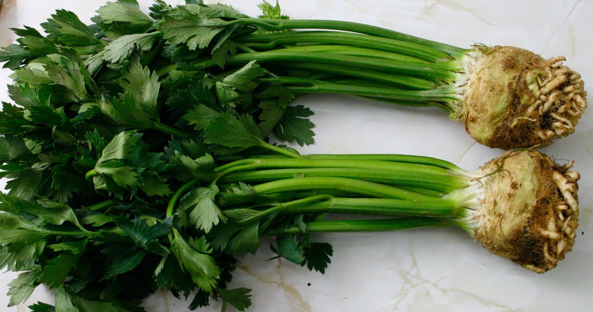 Сельдерей стебель, 1кг