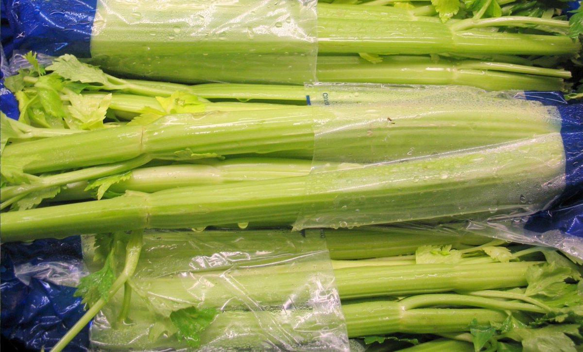 Сельдерей на черном