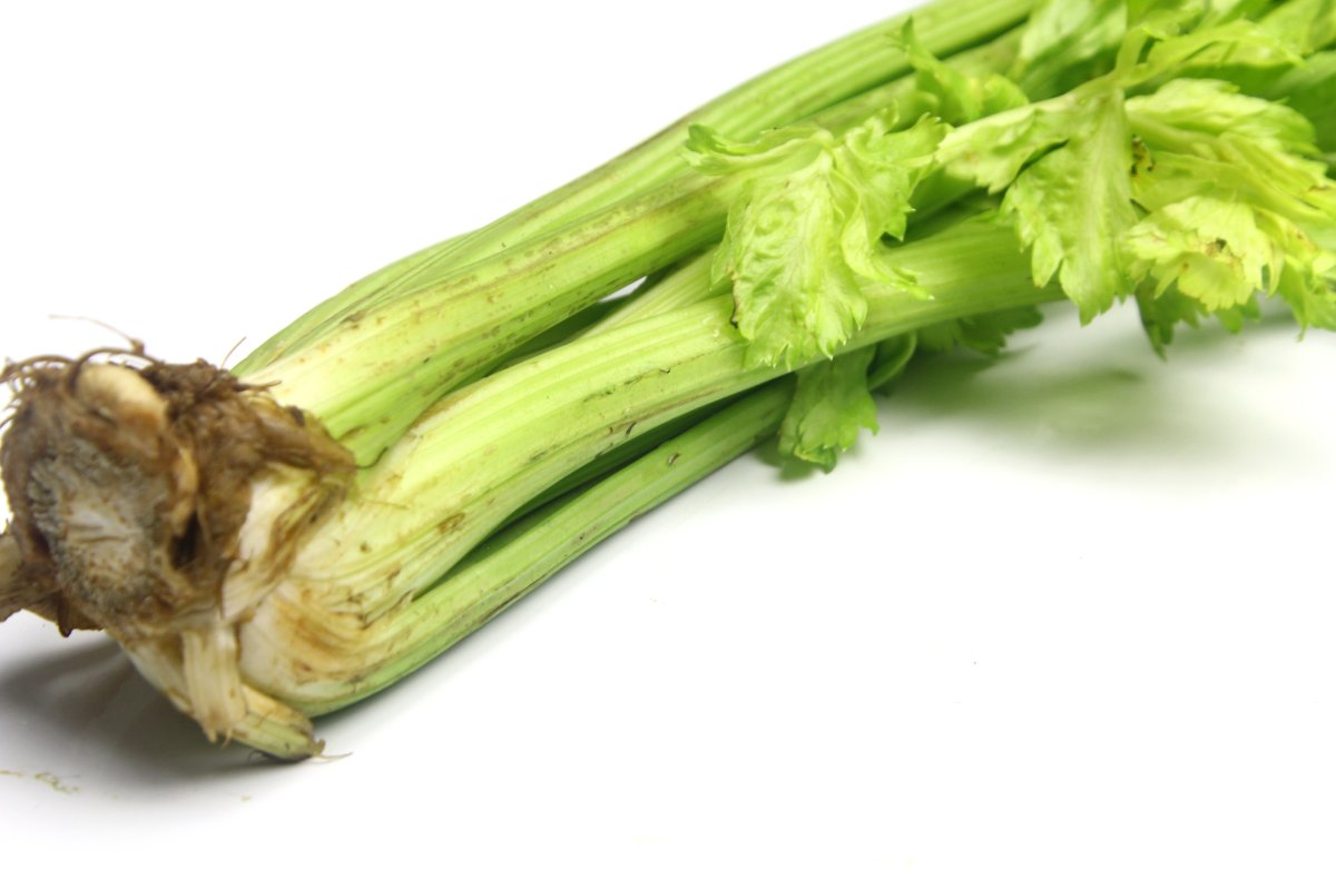 Сельдерей черешковый малахит