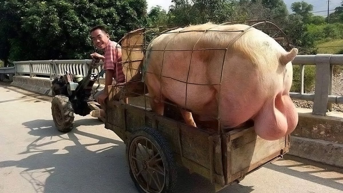 Смешные приколы про людей