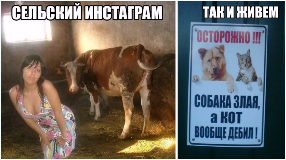 Приколы с надписями про людей