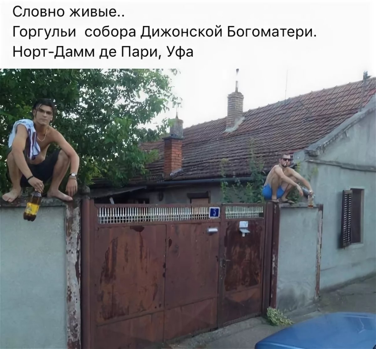 Толстая женщина на лошади