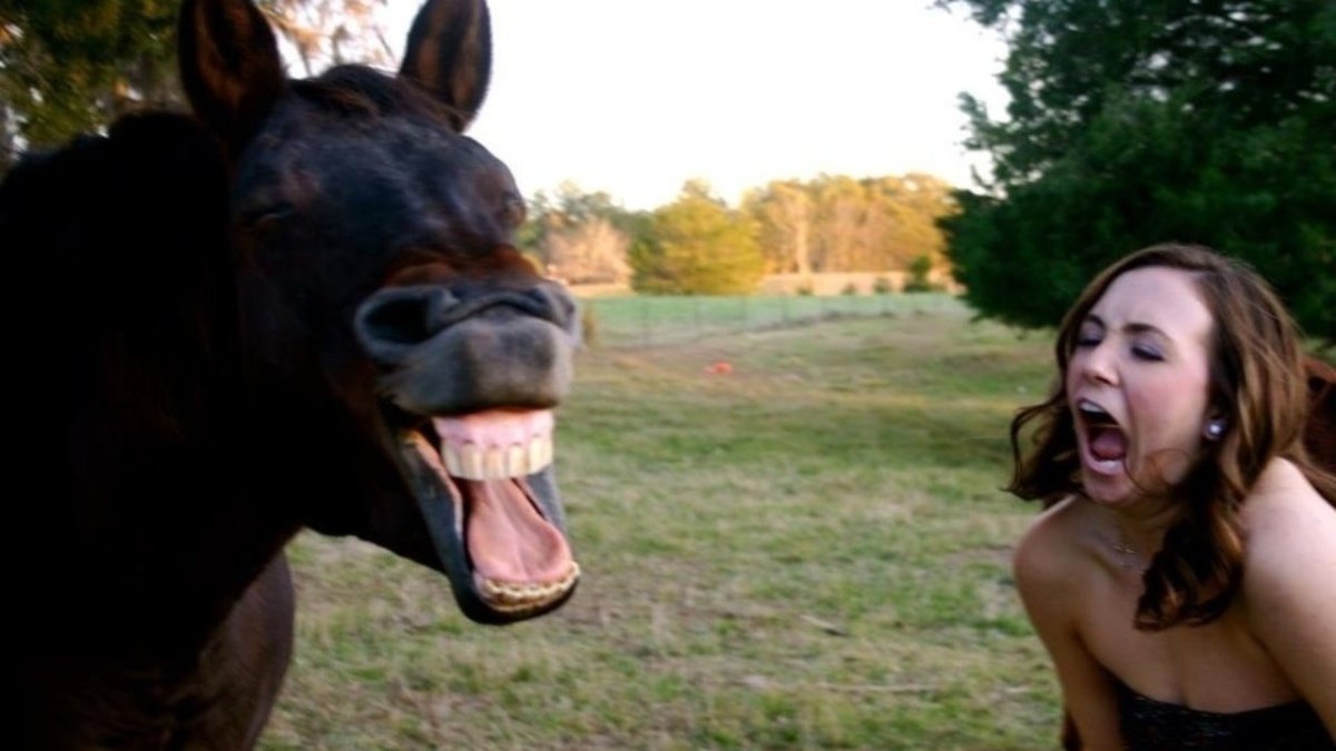 Русалка прикол