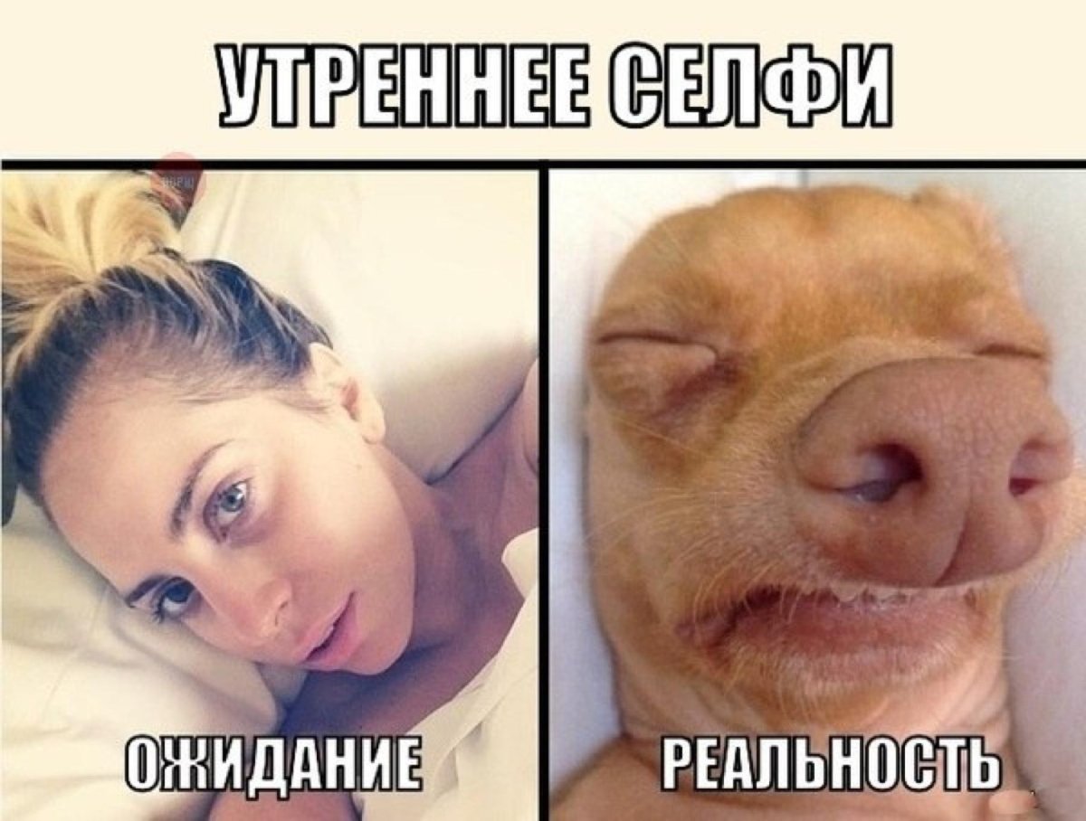 Картинки приколы смешные до слез