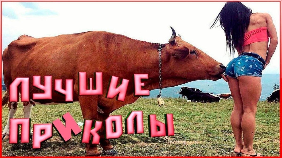 Самые Угарные и лучшие приколы