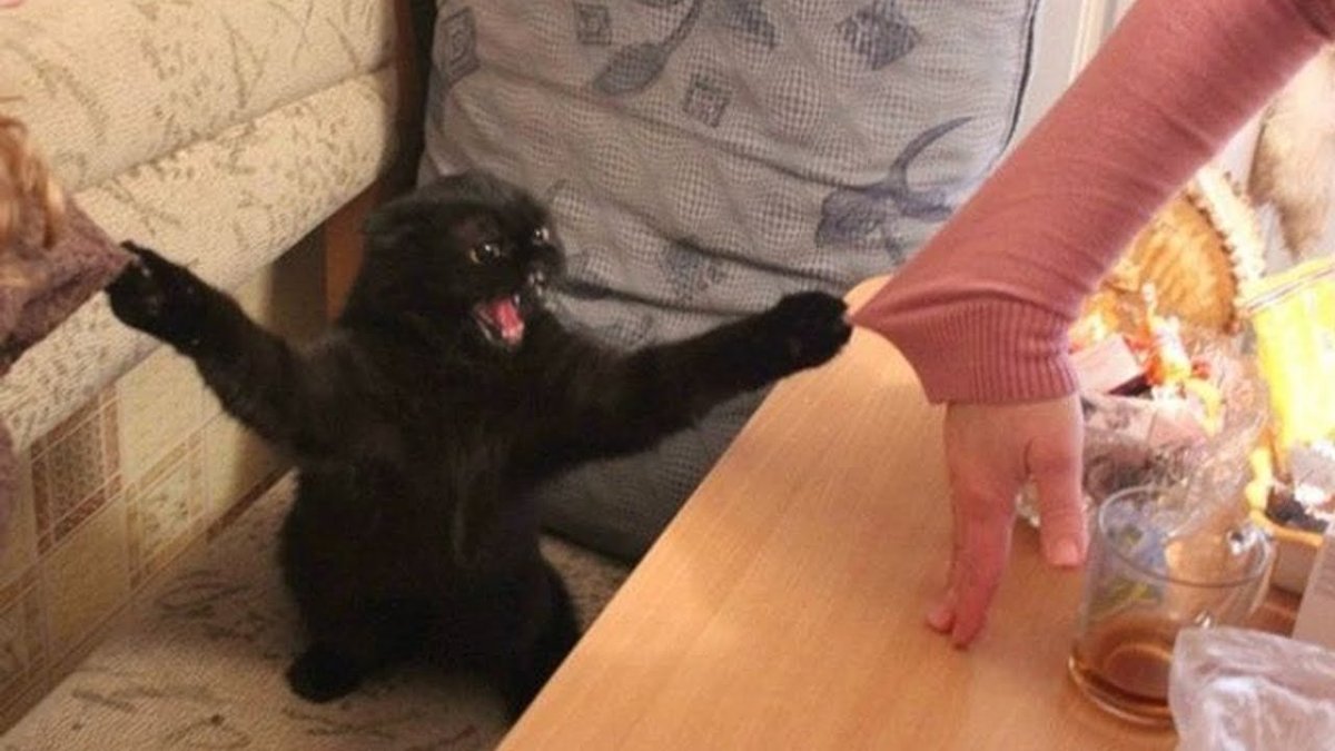 Приколы ржака до слёз с надписями