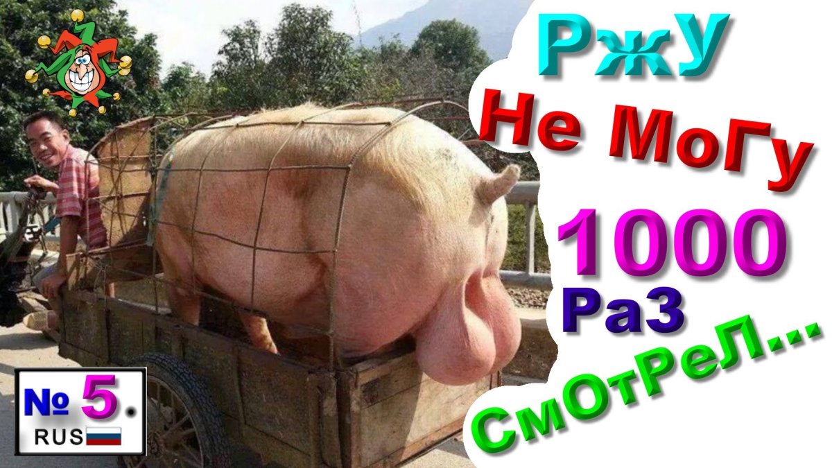 Смешные приколы до слез ржака