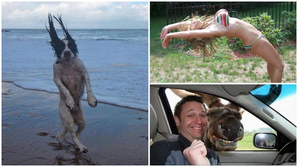 Ржака картинки приколы