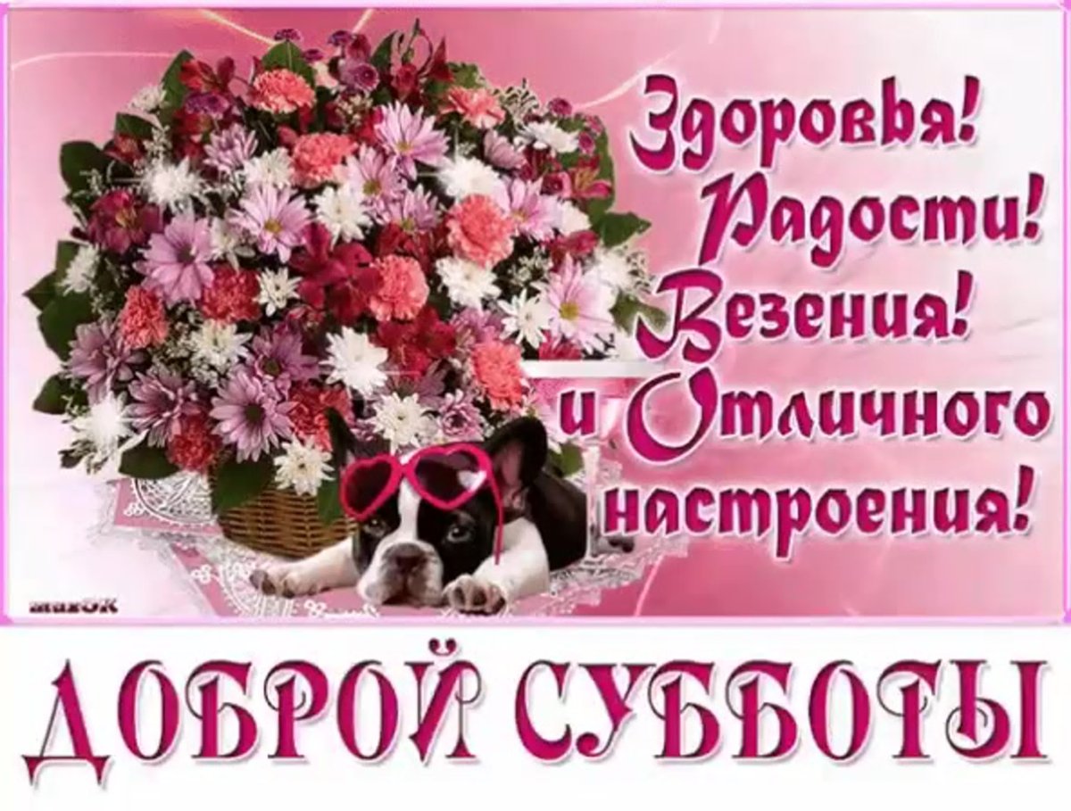 С добрым летним солнечным утром