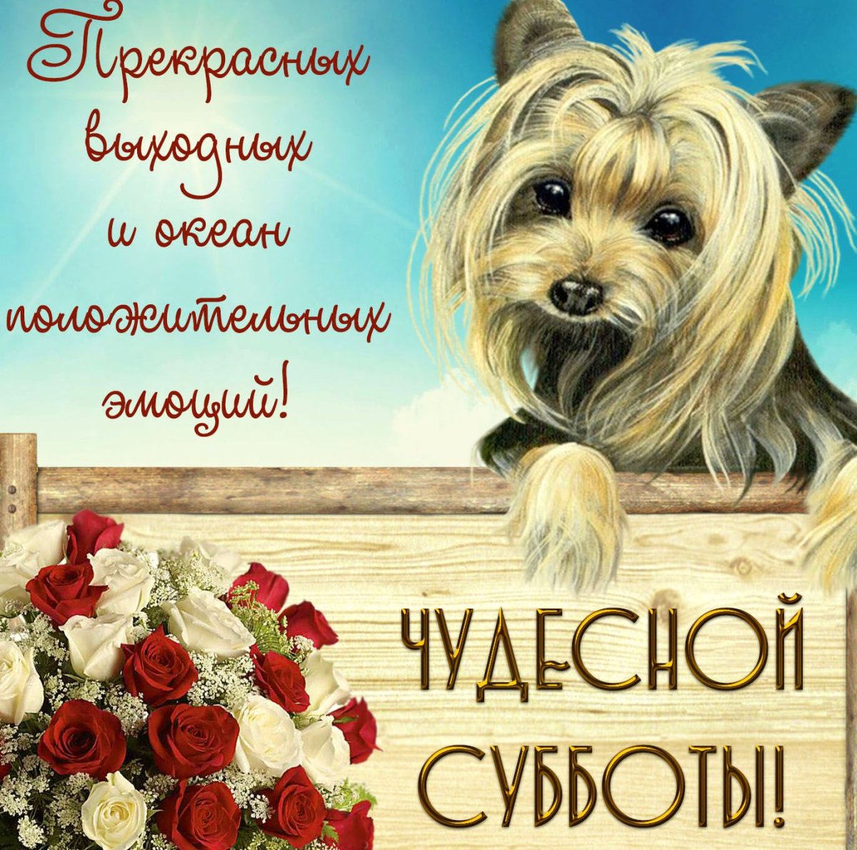 Фиалка в чашке