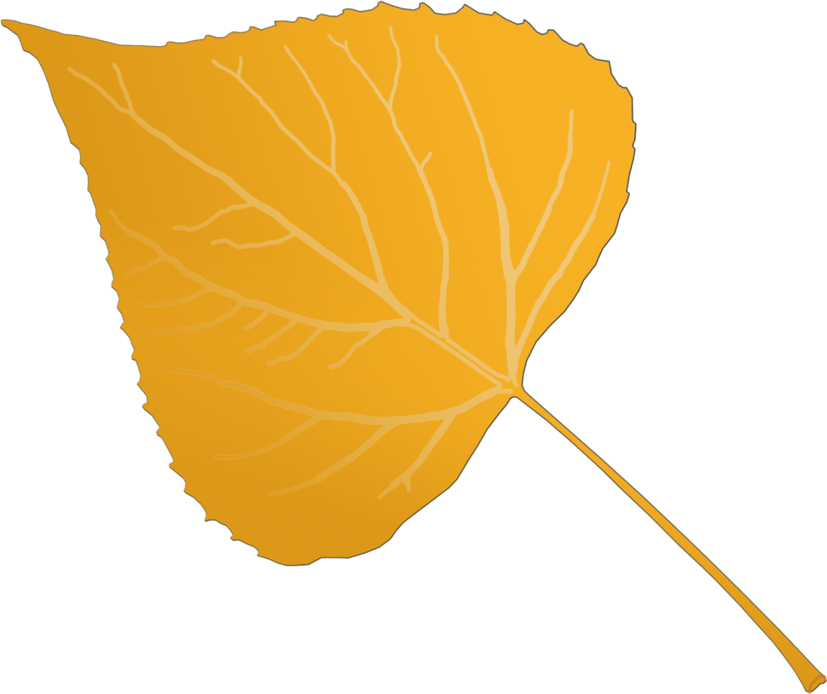 Лист тополя желтый