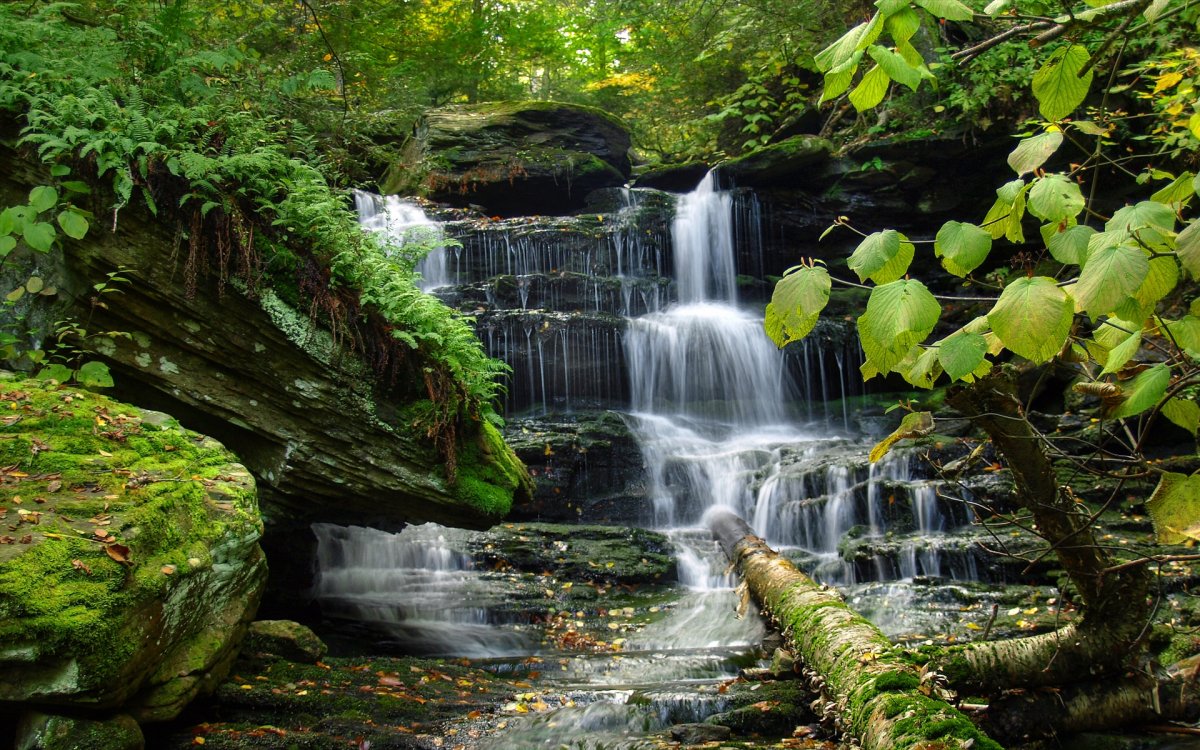 Красивая абстракция